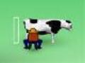 Milking cows to play online