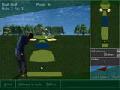 Golf to play online